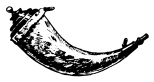 Deploy and Access Flask App on Windows Server [No CGI]